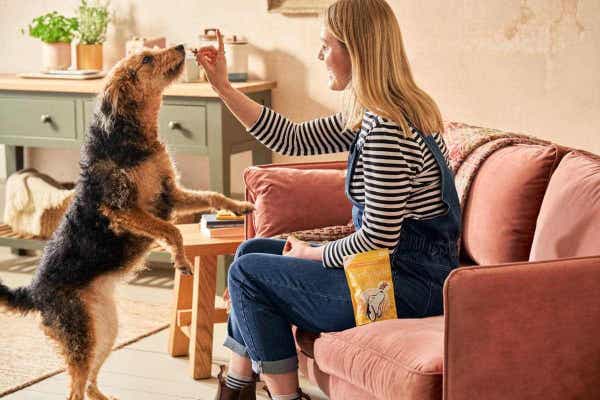 100589_-_functional_soft_bites_banana_honey_human_giving_treat_lifestyle_1_s7yaxcbz50wkubqu.jpg