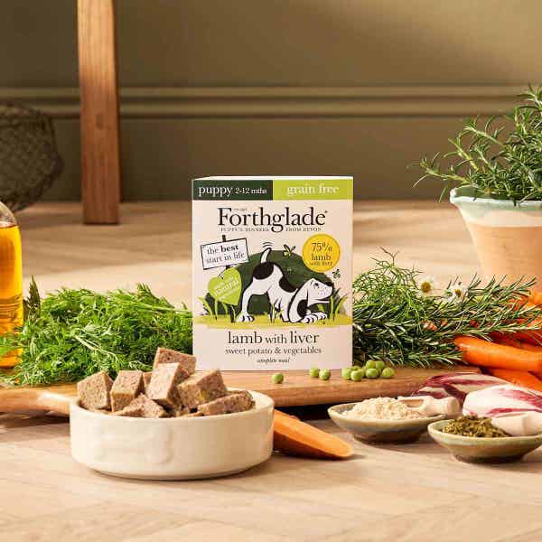 100837-_puppy_grain_free_complete_lamb_with_liver_18x395g_lifestyle_floor_1_lxvrhshgmke4w1xx.jpg
