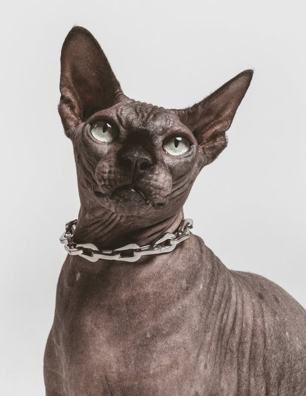 PAGERIE-PDP-Les-Arcs-The-Linque-Pet-Collar-Necklace-06-FINAL_600x.jpg
