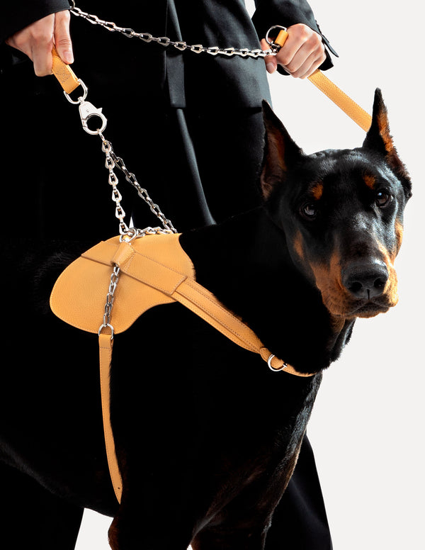 PAGERIE-PDP-Les-Arcs-The-Simone-Luxury-Dog-Harness-Saffron-05-FINAL_600x.jpg