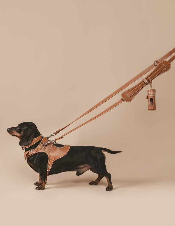 PAGERIE-PDP-The-Sahara-Collection-The-Tascher-Luxury-Leash-Saddle-03-FINAL_600x.jpg