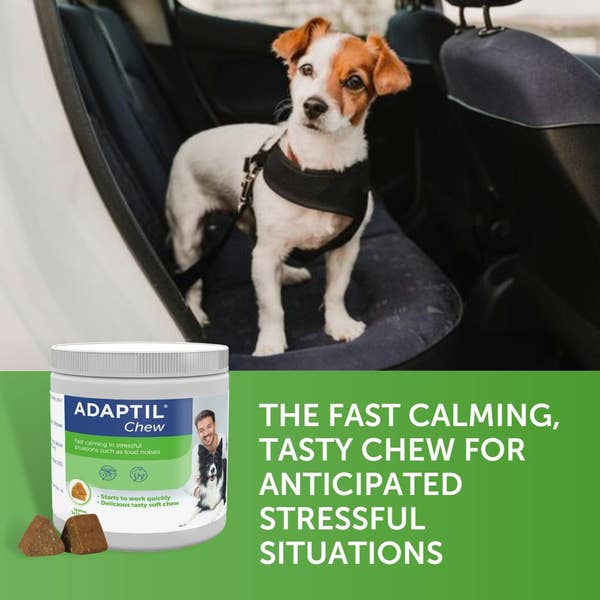 adaptil_chew_1_1__myuc22elvixaenzm.jpg