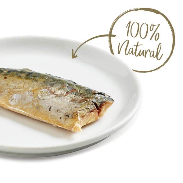 applaws_cat_food_mackerel_loin_treats_in_dish_1_mcjwrefqne4puerp.jpg