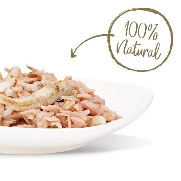 applaws_cat_food_tuna_fillet_and_whole_anchovy_in_bowl_1_1rjoxoi9ueodxuxd.jpg