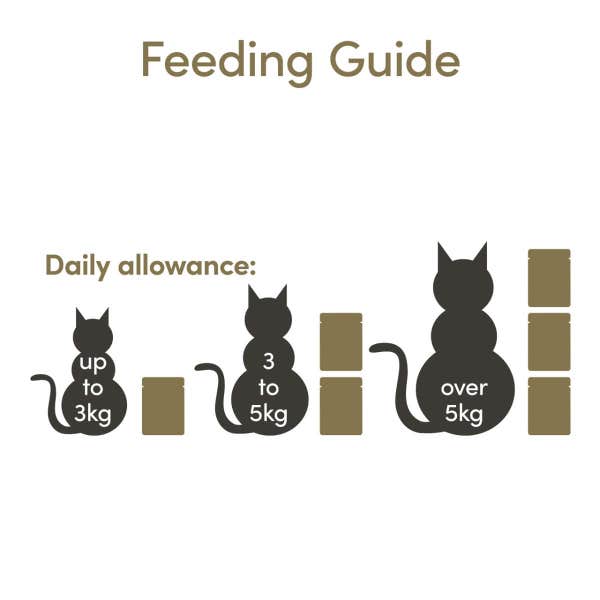 applaws_cat_food_tuna_fillet_with_pacific_prawn_feeding_guide_1_sb2b00uq94j2uer8.jpg