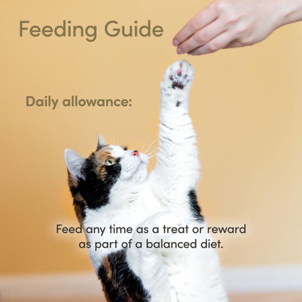 applaws_cat_food_tuna_loin_treats_feeding_guide_lextuzsyqo2sclz5.jpg