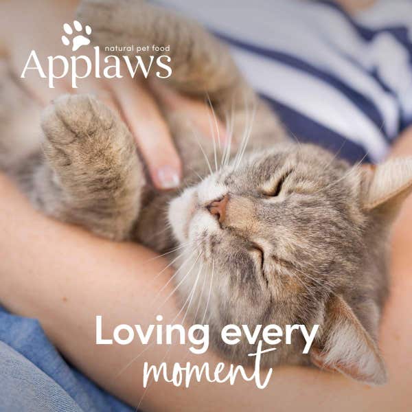 applaws_cat_food_tuna_loin_treats_lifestyle_w9rzeweegyssklxi.jpg