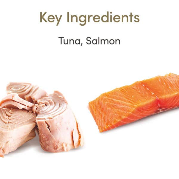 applaws_cat_food_tuna_with_salmon_in_jelly_pouch_ingredients_1_ykq6dby3tqox4xzt.jpg