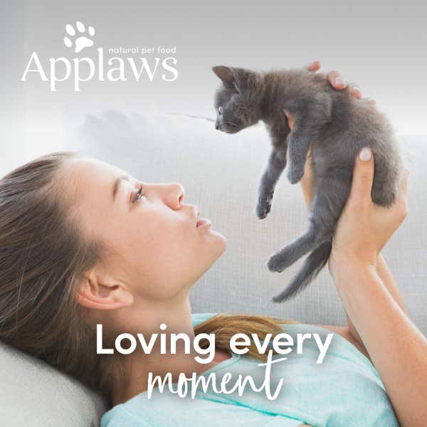 applaws_kitten_food_tuna_can_lifestyle_jir4bkfhkgt83kvi.jpg