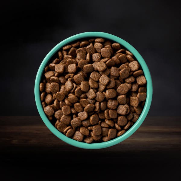 as124000_aatu_dog_recipe_square_tiles-v3-shellfish_in_the_bowl.jpg