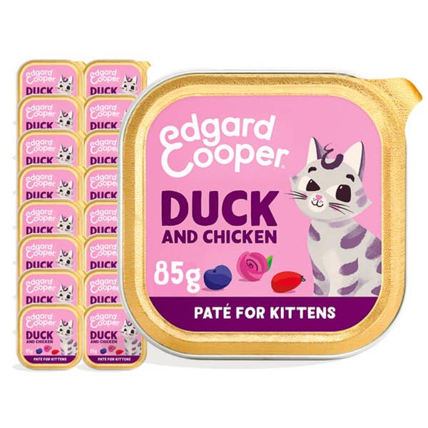 b0b89kvhvr.main_.jpg