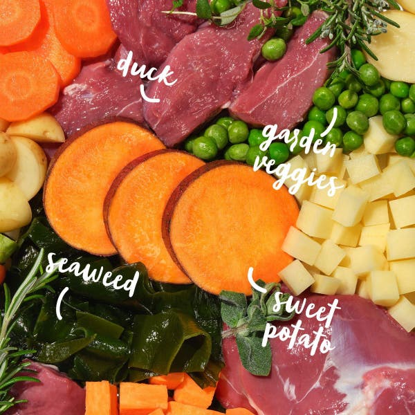 bdk23-all-hounder-fuss-pot-ingredients-shot.jpg