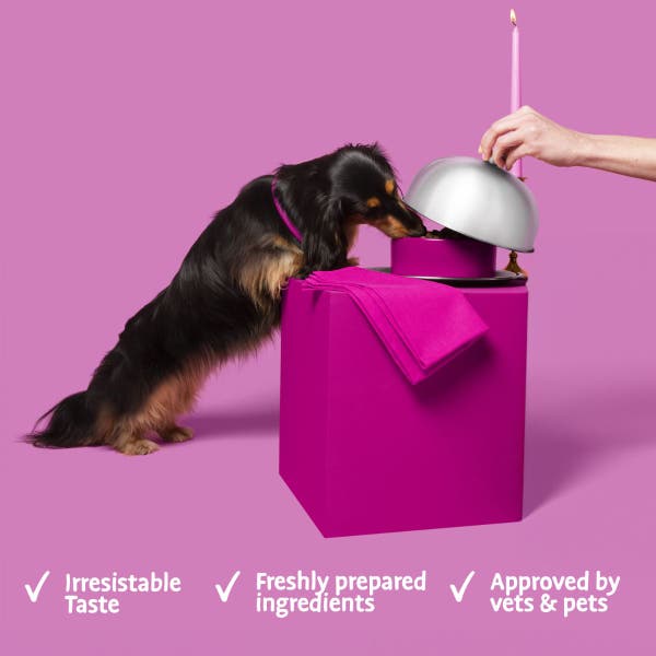 bdk25-all-hounder-fuss-pot-product-benefits.jpg