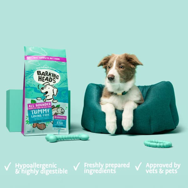 bfs27-all-hounder-tummy-lovin-product-benefits.jpg