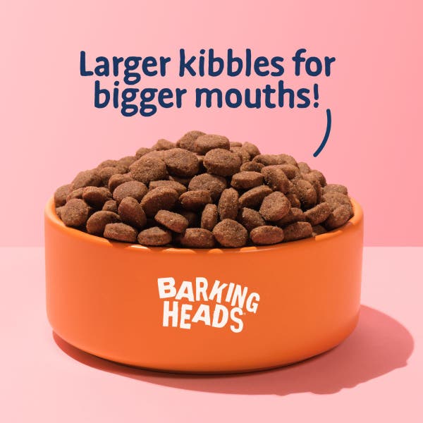 bhbfpdt-64-big-foot-golden-years-kibble-bowl-shot.jpg