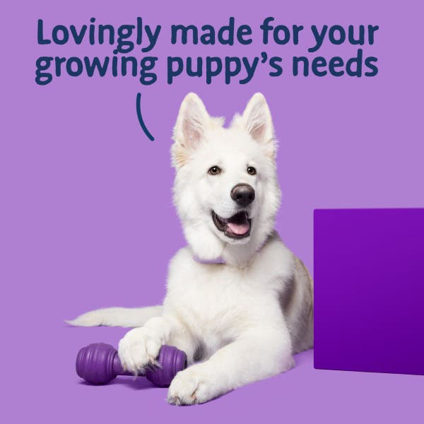 bhbfpdt-65-big-foot-puppy-days-function-shot.jpg