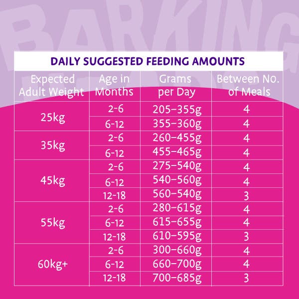 bhbfpdt-66-big-foot-puppy-days-feeding-guide.jpg