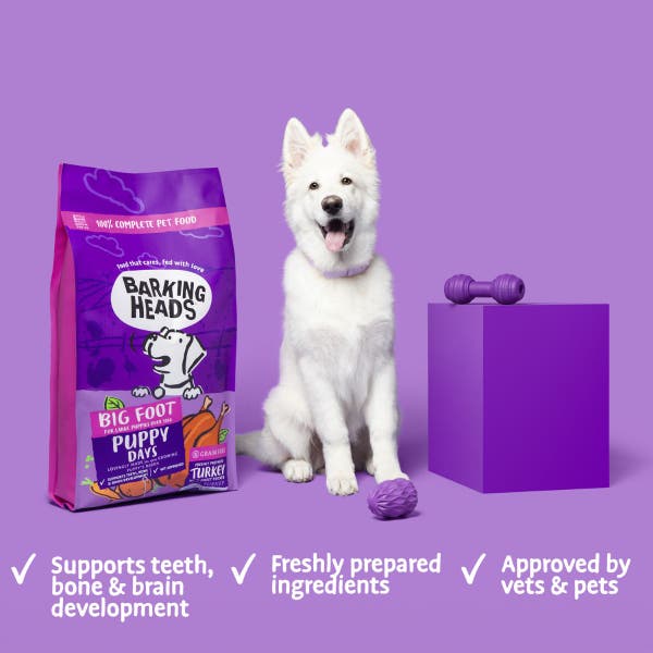 bhbfpdt-67-big-foot-puppy-days-product-benefits.jpg