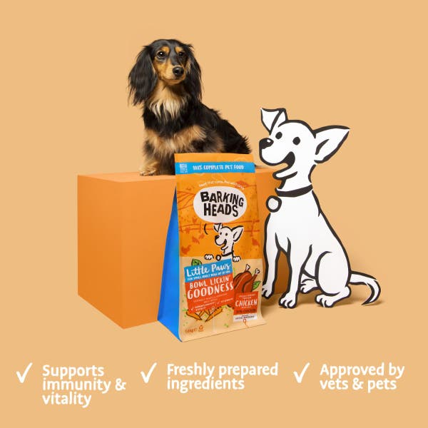 bhlpblgc-67-little-paws-product-benefits.jpg