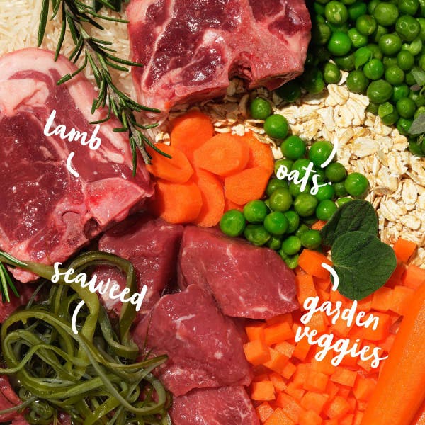 blm23-all-hounder-lamb-ingredients-shot.jpg