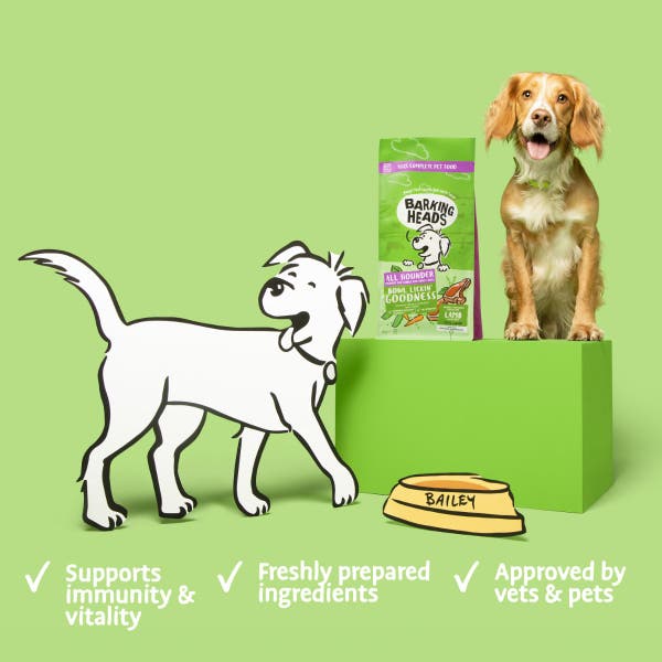 blm27-all-hounder-lamb-product-benefits.jpg