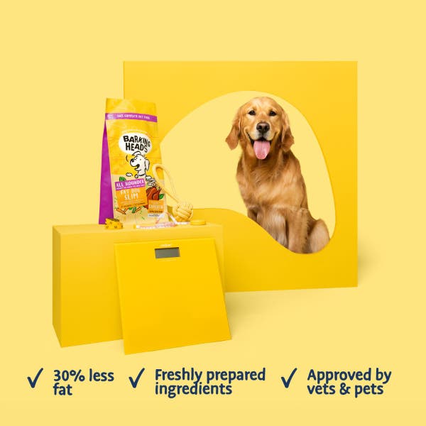 blt27-all-hounder-fat-dog-slim-product-benefits.jpg