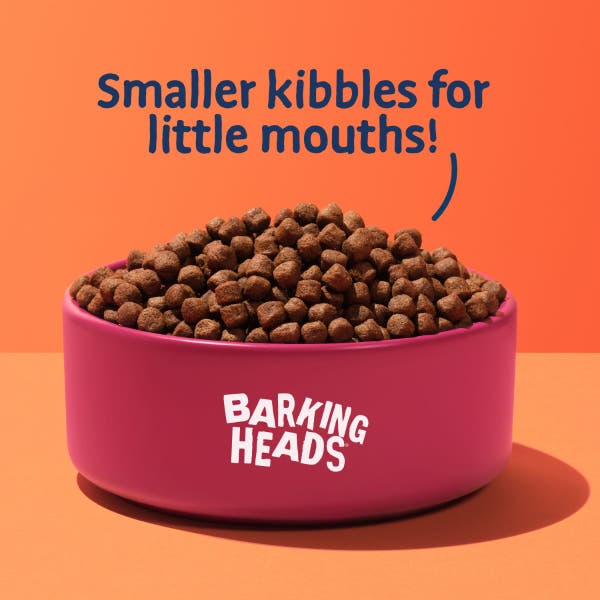 bsbdk14-little-paws-fuss-pot-kibble-bowl-shot.jpg