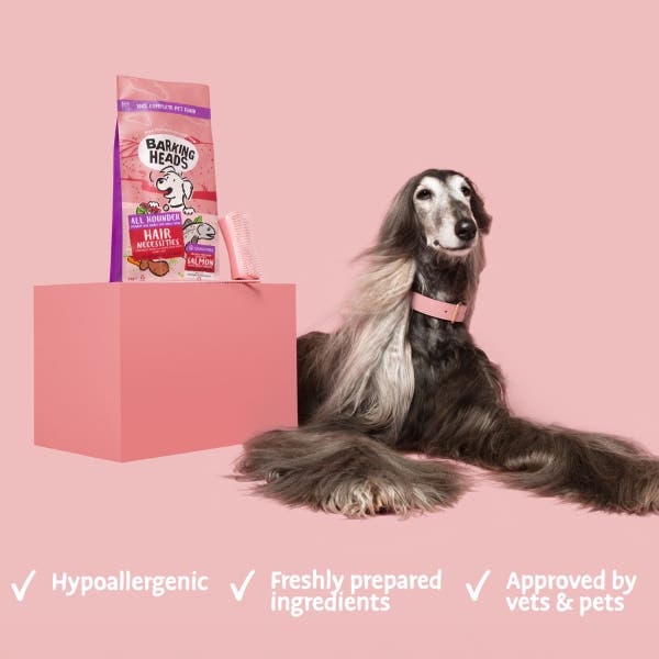 bsl27-all-hounder-hair-necessities-product-benefits.jpg