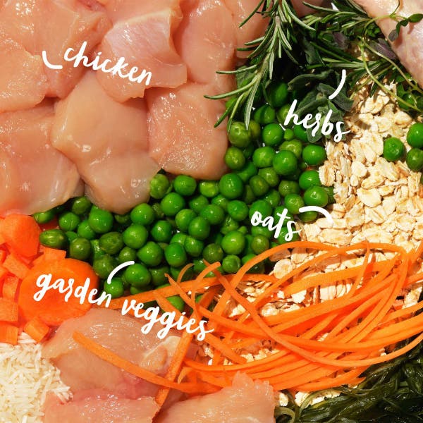 bsr123-all-hounder-golden-years-chicken-ingredients-shot.jpg