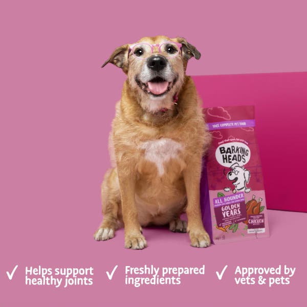 bsr127-all-hounder-golden-years-chicken-product-benefits.jpg