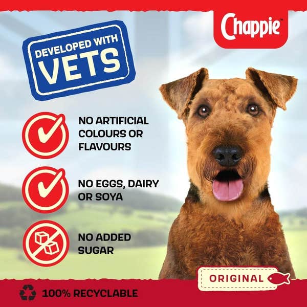 chappie_facts_lwqzt2hiuevnnqym.jpg