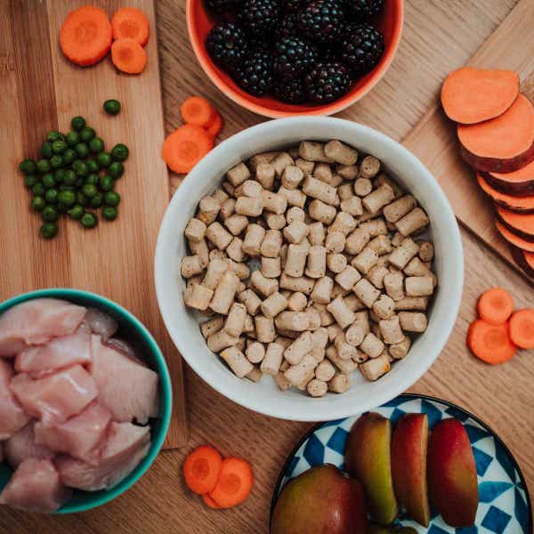 coya_chicken_freeze-dried.jpg