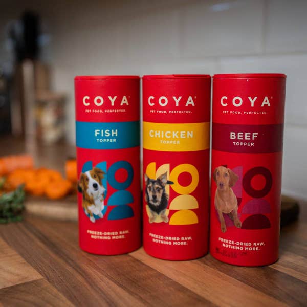coya_toppers_group_1.jpg