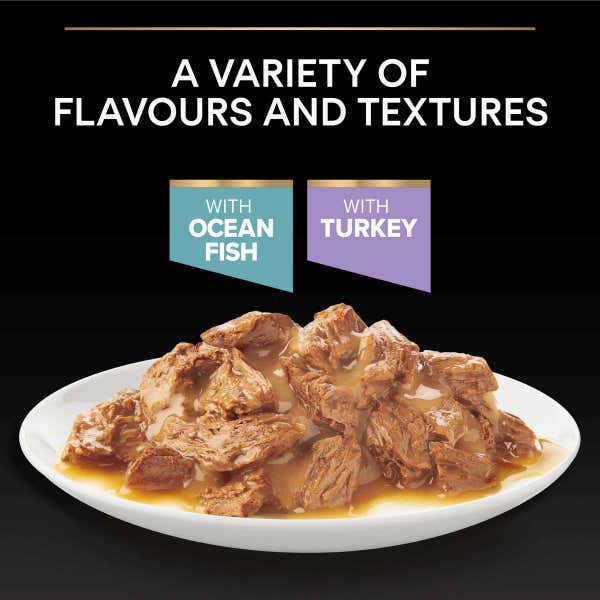 delicate_digestion_food_dsqbcqyyxnew13of.jpg