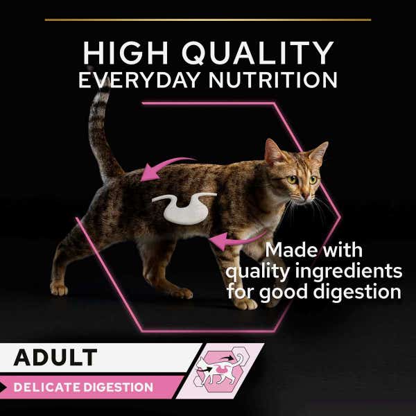 delicate_digestion_high_quality_nutrition_jp0mozn05dobjyxp.jpg