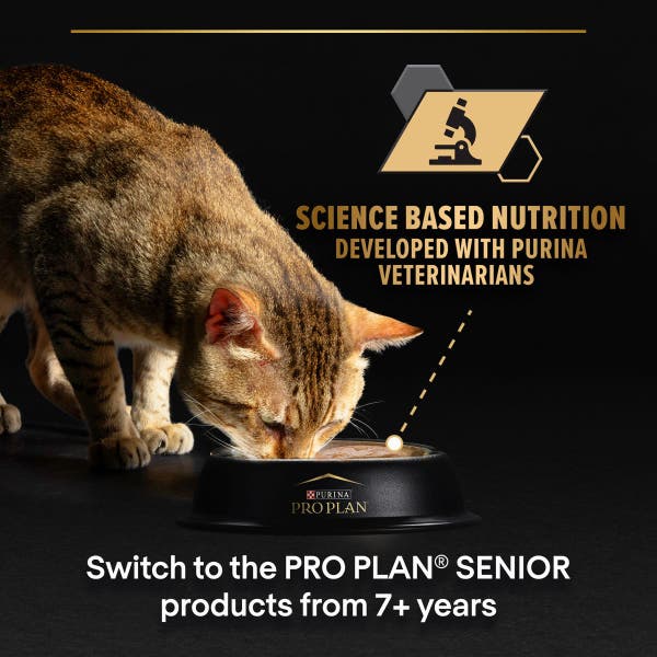 delicate_digestion_science_based_nutrition_3amdfyga8w5frira.jpg
