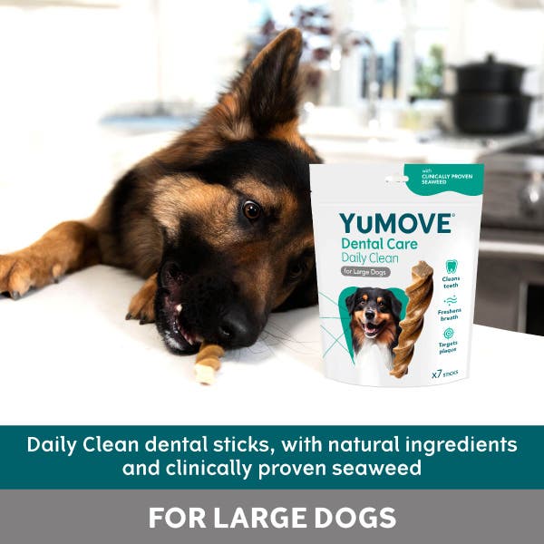 denta_daily_clean_large_2.jpg