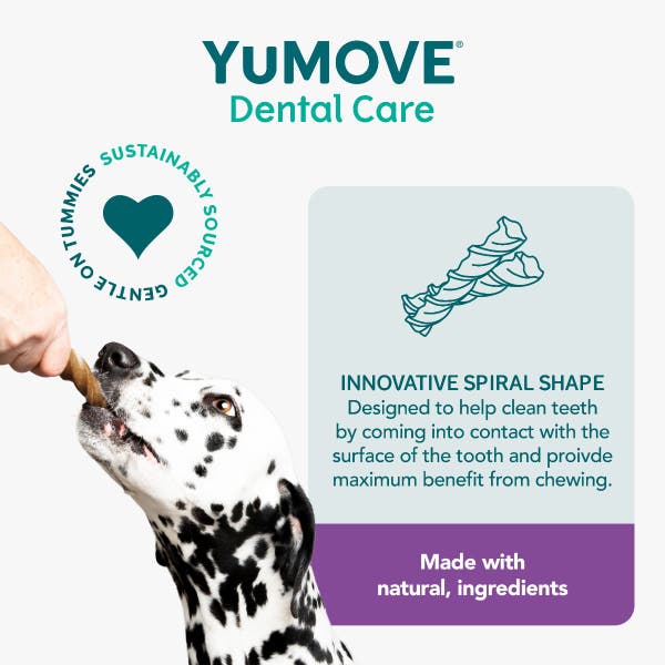 denta_daily_clean_medium_4.jpg