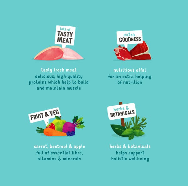 dog_tins_multipack_key_ingredients_6x400g_illustration_e-commerce_e-comm_imagery_amazon_.jpg