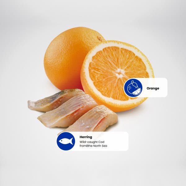 farmina_nd_ocean_protein_sources_-_herring-orange.jpg