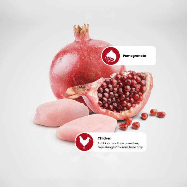 farmina_nd_prime_protein_sources_-_pomegranate-chicken_1.jpg