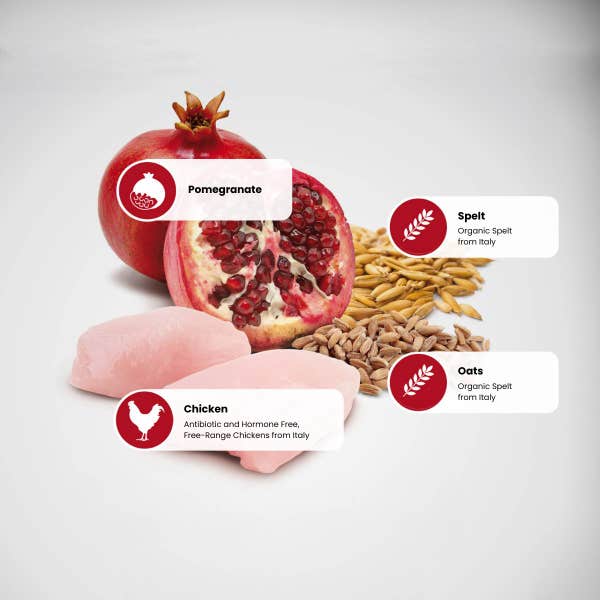 farmina_nd_protein_sources_-_pomegranate-chicken-spelt-oats.jpg