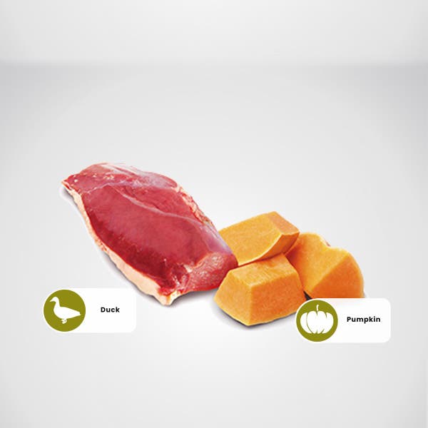 farmina_nd_pumpkin_duck_protein_sources.jpg