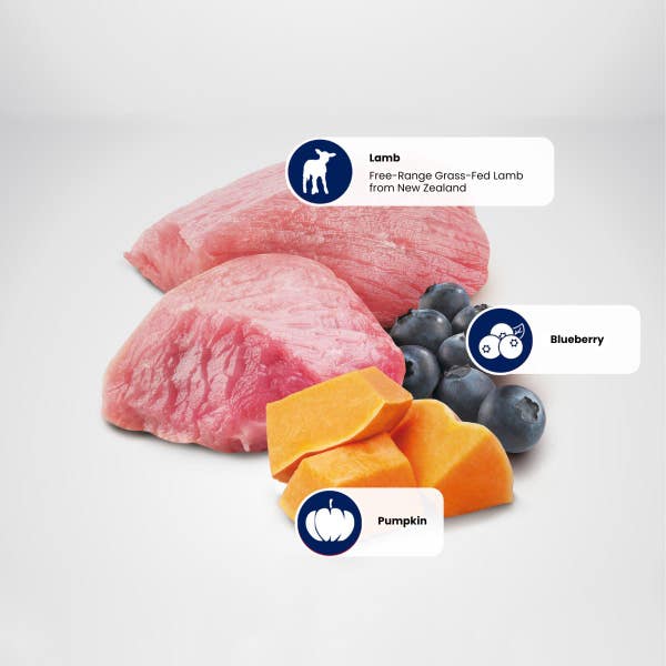 farmina_nd_pumpkin_lamb_blueberry_protein_sources_1_1.jpg