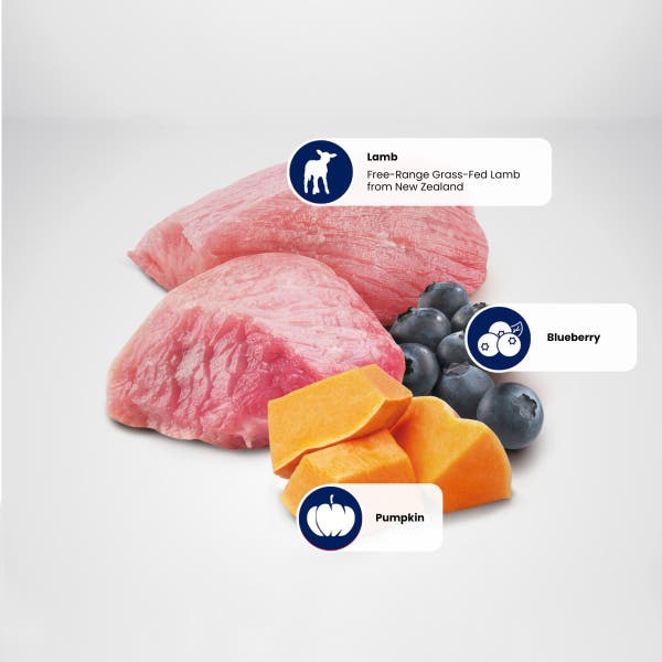 farmina_nd_pumpkin_lamb_blueberry_protein_sources_1_2.jpg