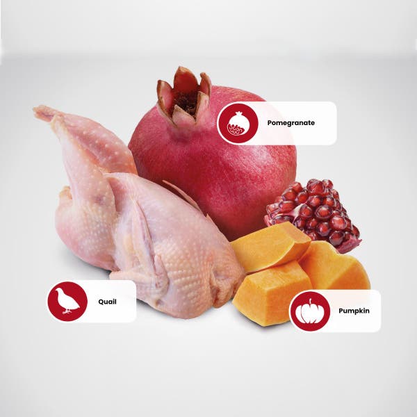 farmina_nd_pumpkin_quail_protein_sources_1.jpg