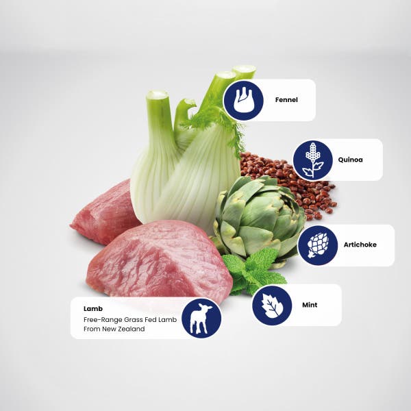 farmina_nd_quinoa_digestion_lamb_protein_1.jpg