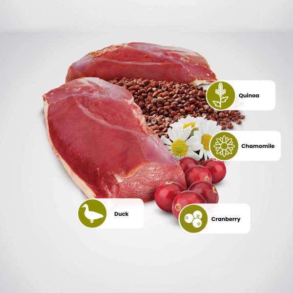 farmina_nd_quinoa_urinary_wet_cat_duck_protein_1.jpg