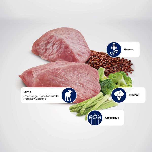 farmina_nd_quinoa_wet_cat_weight_management_lamb_protein_1.jpg