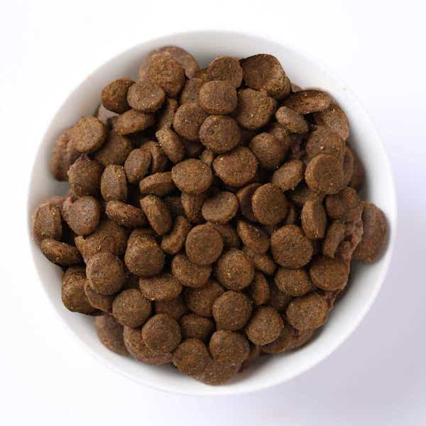 farmina_nd_spirulina_cat_herring_food.jpg